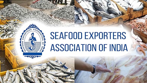 India's seafood exports to US set to rebound after tariff cut to 18 pc