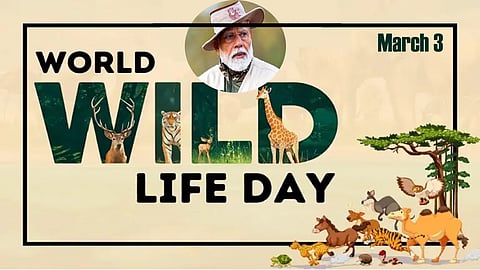 World Wildlife Day is about celebrating incredible faunal diversity