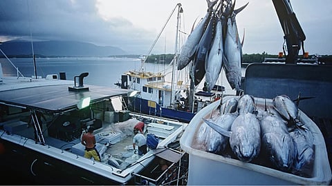 Iceland firms keen to increase collaboration in fisheries, clean energy with India