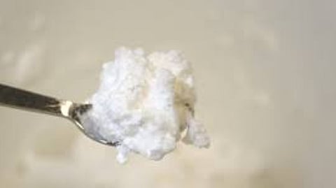 Egg white protein- Ovalbumin