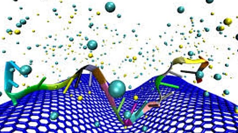 Graphene bio sensors