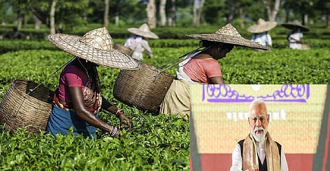 Assam ending 'historic injustice' by giving land pattas to tea garden workers: PM