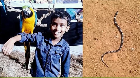 Boy dies, sibling critical after suspected snakebite at home in Kerala's Thrissur