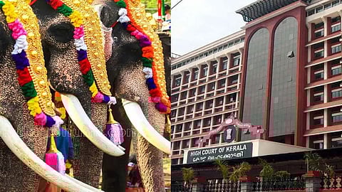 Kerala HC seeks govt stand on elephants parading during temple festivals