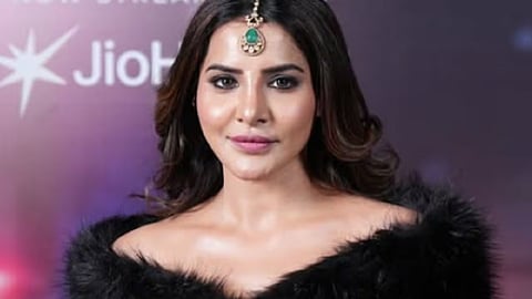 Actress accused of 'duping' techie of Rs 9.35 crore over marriage; case booked