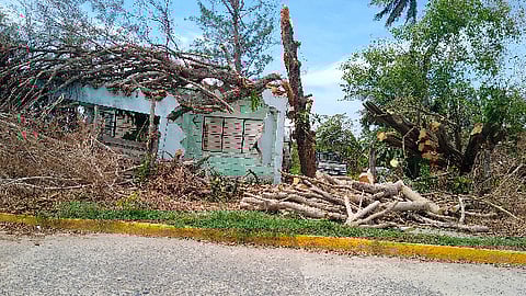 El gobierno federal también entregará a 51 mil 393 familias artículos como colchones, camas y estufas