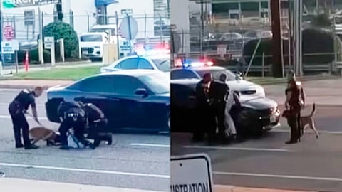 Una vez que los policías arrestan al hombre y lo esposan, el perro lo sigue mordiendo