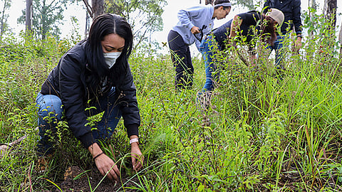 La Loma de Santa María es considerada como uno de los principales pulmones de la ciudad