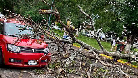 Ocurrió en la colonia Nueva Chapultepec