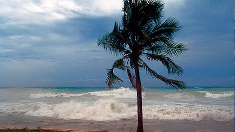 Autoridades monitorean el avance de este fenómeno