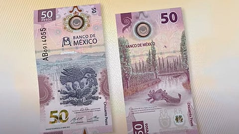 Su color predominante es el morado