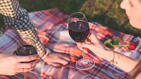 En el evento habrá diversas áreas de gastronomía, para niños, cultura y arte, picnic, música en vivo, venta de suvenires y más