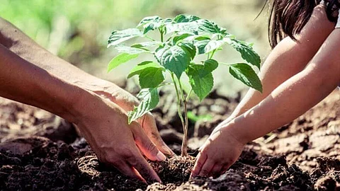 Alrededor del 24.3% de las muertes, del total mundial, se deben a riesgos medioambientales