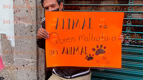 Los manifestantes exigieron leyes más duras para quien atente contra la vida de los animales