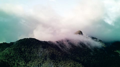 Michoacán, con temperaturas entre 0 y 5 grados en zonas altas