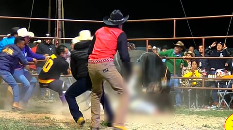 El video fue subido con el título "Q. E. P. D. ULTIMA MONTA DE NIÑO DE ORO APATLACO ||| EL JARIPEO ESTA DE LUT0"