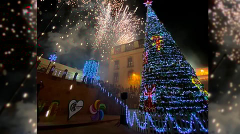 Hace unos días se encendió el árbol navideño que año con año da la bienvenida a los visitantes