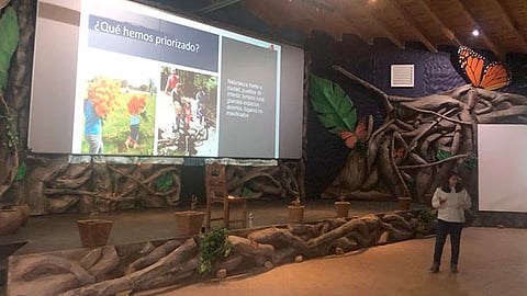 La finalidad es reactivar el turismo bajo nuevas normas de convivencia social
