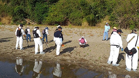 Debido a las restricciones por el Covid-19 los trabajos de búsqueda de fosas se suspendieron