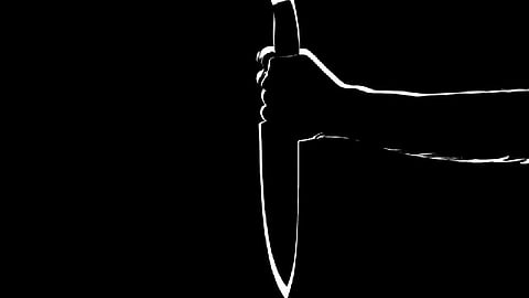 La mujer pagaría cinco mil dólares por el crimen