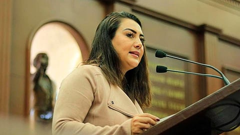 Se indica en la propuesta que las personas que recaigan en los citados supuestos no podrán ser registrados como candidatos a cualquier cargo de elección popular