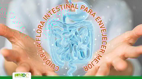 Para obtener una buena salud digestiva, se recomienda mantener una dieta variada; reducir el consumo de carne procesada e ingerir grasas de buena calidad