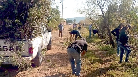 Indicaron que esto ayudará a mejorar las condiciones para el tránsito de los campesinos en la región