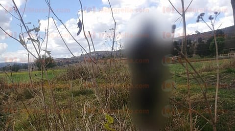 El hecho se registró la tarde del martes 