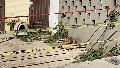 Algunos comentaron que  se notaba triste mientras esperaba el regreso de su compañera