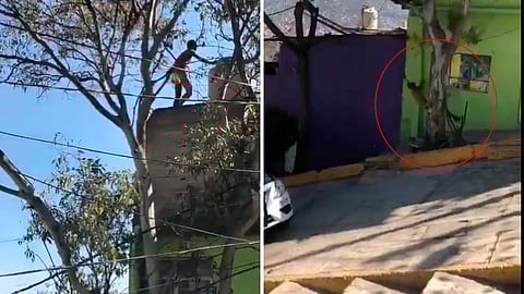 Iba desnudo y aparentemente con un arma blanca