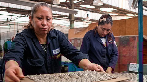 Escaso, empleo formal en Michoacán: analista económico