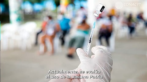 Vacuna mexicana “Patria” también se administraría vía nasal