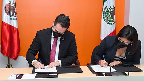 La Secretaria de Bienestar, brindará capacitación, acompañamiento y entrega de capital semilla a michoacanos que lo requieran