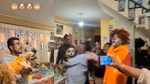 Fue a través de un video compartido en la plataforma de TikTok donde muestran el gran festejo que hicieron para el cumpleaños de unos perritos