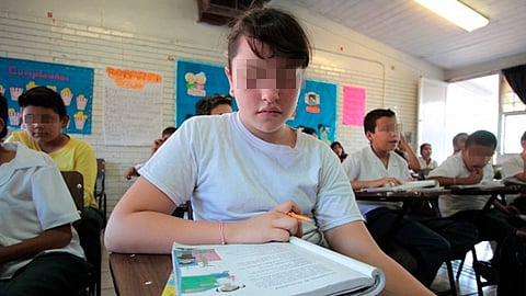 Esperan que la SEP reactive el programa