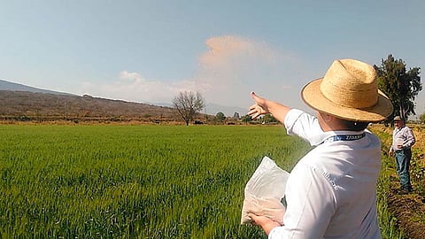 Se aplicó en 92 hectáreas