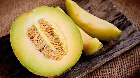 El melón que se produce es el de la especie honeydew, que es de tal calidad que se ha exportado