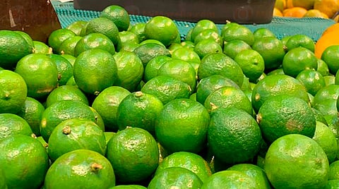 Producción de limón se recupera y su precio se regulariza: Siprolimex