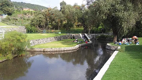 En el lugar encontrarás agua cristalina que nace donde está la alberca principal 