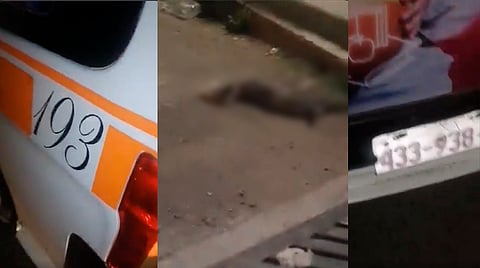 En el material se ve al perrito tirado, al parecer sin signos vitales, y una mancha de sangre que dejó