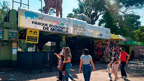 Los interesados deberán acudir al área de Recursos Humanos del parque, ubicado en Calzada Benito Juárez s/n, de la colonia Félix Ireta