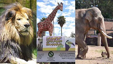 No se permite el ingreso de bebidas alcohólicas, mascotas y plásticos