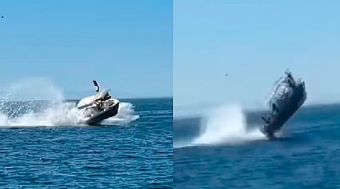 Choca bote contra ballena en mar de BCS; 6 tripulantes resultan heridos
