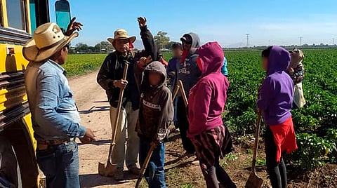 “Estamos por implementar una ruta de trabajo para atender el trabajo infantil en Michoacán", aseveran autoridades