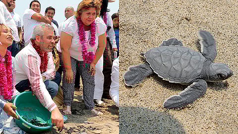 La administración estatal apoyará con 3 millones de pesos