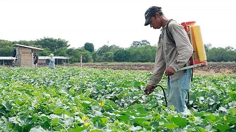 Se busca que en este proyecto puedan participar más mujeres