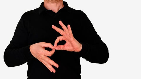 Los intérpretes se fueron a paro