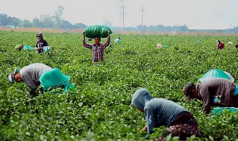 Se tiene el objetivo de formalizar a 50 mil trabajadores este año