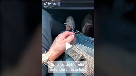 El usuario @samaguey compartió un video con el texto "Sólo los de Morelia entenderán" y uno de los audios de Luz María, la famosa empresaria multimillonaria