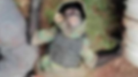 Un mono araña con equipo táctico, entre las víctimas de enfrentamiento en Edomex